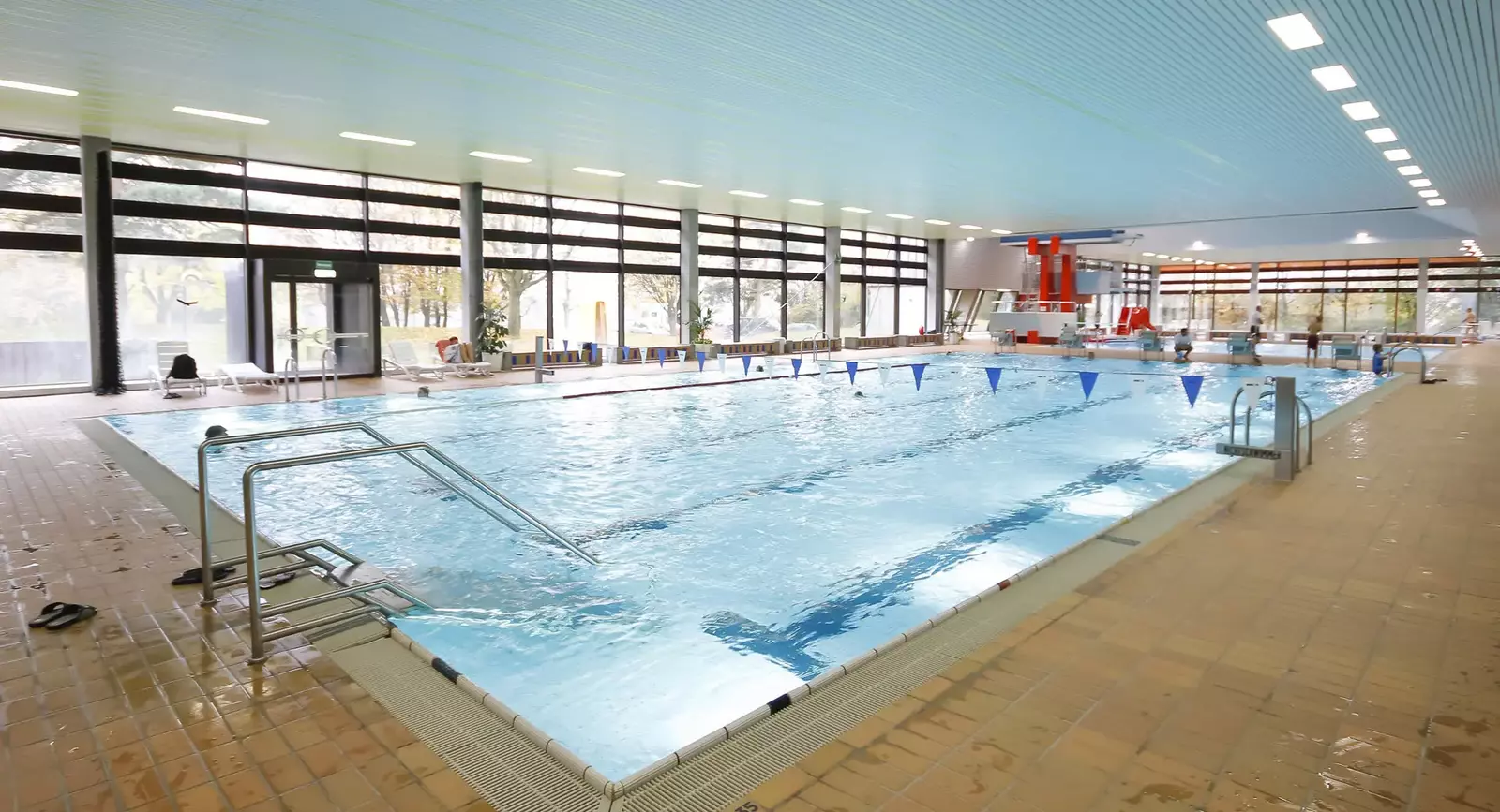 Großes Schwimmerbecken mit Startblöcken und verglasten Wänden im Hallenbad Sonnenberg.